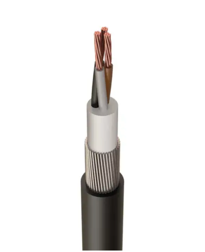10.0MM 3 CORE SWA (1M)
