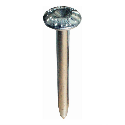 SURVEY POINT NAILS 100MM